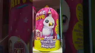 Let's Go Find Polly The Magic Bird!