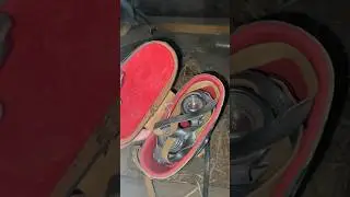 Сокровище #коп #металлоискатель #находки #поискмонет #metaldetector #шурф #metaldetector #war #coin