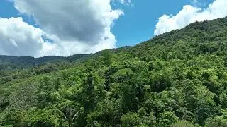 Aerial View of Tirawuta Protected Forest area