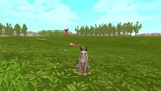 Wildcraft: Hunting in the Japanese forest ￼