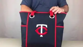 Minnesota Twins Deluxe Tote Bag of Charm14