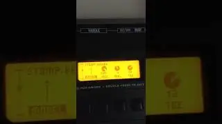 Whammy no LINE 6 POD XT LIVE