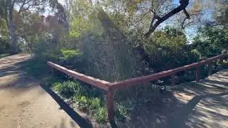 Guajome Regional Park - Nice birding spot!