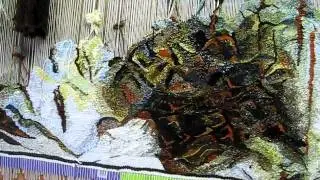 Tapestry at Joshua Creek