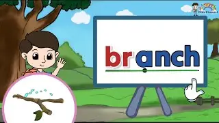 Consonant Blends | Reading Compilation | English Reading Lesson for Nursery and Kindergarten 