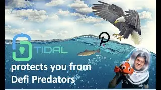 The TIDAL wave of DEFI Insurance is here!