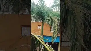 @atjvlogger #smallcreater   #amazing #viral #grow #tranding #newvlog #please #ram ram ji