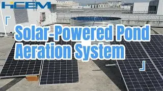 Solar-Powered Pond Aeration System: Naturally Clear Water