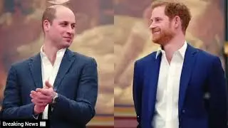 Prince Harry & Prince William: Is a Royal Reunion Still Possible After 6 Years of Silence?