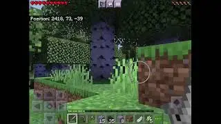 just playing minecraft