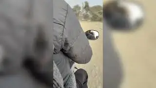 बेलवन की लक्ष्मी माता और राधारानी मानसरोवर के सुंदर दर्शन 🌹