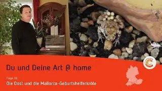 Du und Deine Art @ home - Folge 6: Mallorca-Geburtshelferkr&ouml;te