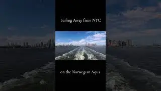 Nothing beats a NYC sailaway #shorts
