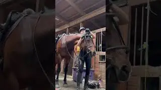 Tack up with me! (Old vid/edit)