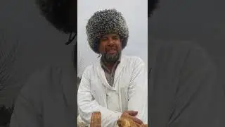 Эксковатор одам.