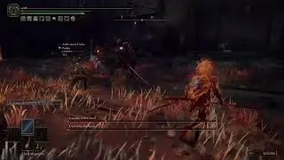 Elden Ring - Coop