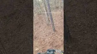 What a Giant #deerhunting #deer #hunting