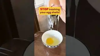 This Eggshell Hack Will Supercharge Your Dog&rsquo;s Meals 🐾🥚
