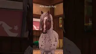 POV: Jorvik Pony 😂🐴❤️  What should I say.... #starstable