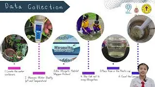 Water Properties and Mosquito Breeding Sites
