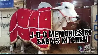 J-D-C MEMORIES BY SABA'S KITCHEN.