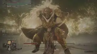 Flowerstone Gavel + Priestess Heart, Lightning | no hit | Consort Radahn - Shadow of the Erdtree