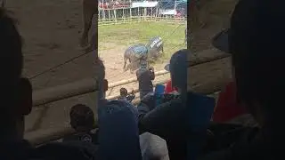 Mama Muda KBR vs B2 Spirit Sepinggan