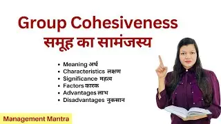 group cohesiveness, group cohesiveness in organisational behaviour, organisational behaviour, OB