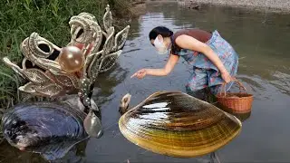 A beautiful discovery 💎 Pearl Wealth
