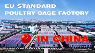 Have you ever seen a poultry cage manufacturer in China?
