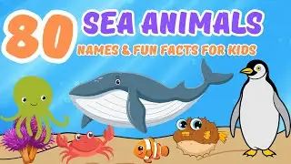 Mega Ocean Learning Video for Kids  – Discover 80 Cool Sea Creatures! 🌊🐳 Best Sea Animals Video