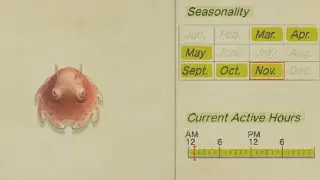 How To Catch Umbrella Octopus In Animal Crossing New Horizons -  And Turn In Dialog