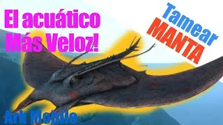Tamear Manta! El acuático más rápido de Ark!!⚡️🌊 | Ark Mobile