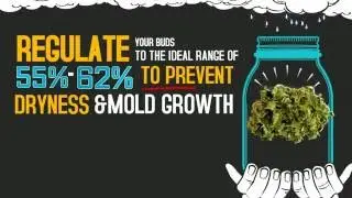 Integra Boost - ACHIEVE THE IDEAL HUMIDITY FOR CURING AND STORING CANNABIS
