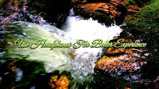 Virtual Forest Bathing: Immersive Stream Soundscapes for Deep Relaxation