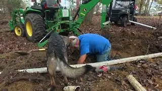 Never seen anything like this in my Life Time.  How does Roots grow so intwined in a Pipe.  EP#415