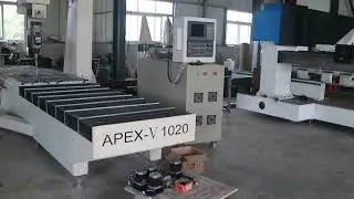 APEX COMPANY