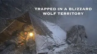 Trapped in a Deadly −12°C Blizzard | Alone Under a Rock Face in Wolf Territory