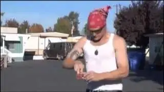 The Fastest Hot Dog Shooter In The Trailer Park
