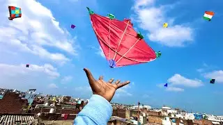 Caught kites 😱| Kite looting new video | Kitecatching | Kite