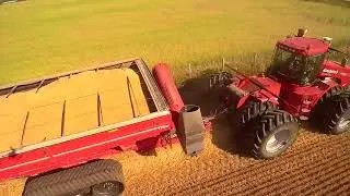 Winter wheat harvest in Bruce County