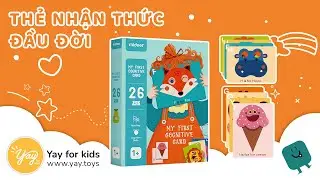 My First Cognitive Cards | Mideer