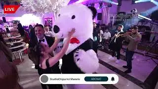 Haidin ❌ Marinica Namol✳️ Tutti Frutti  ✳️ LIVE Show 2026  █▬█ █ ▜▛  ✳️ Adrian ❤️ Florentina