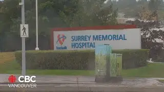 Surrey becomes battleground for B.C. political parties