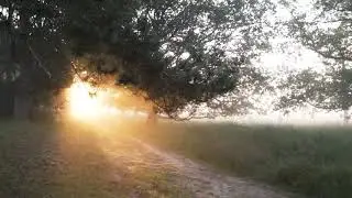 No Copyright Music,Light Music,Meditation Music,Relaxation Music
