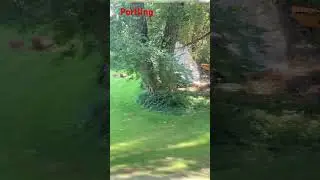 Portling outside #outdoors #portals #shorts
