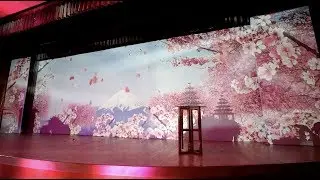 Wedding Hall Projection Video