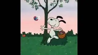Pictures of us-6 days after Christmas (slowed)(lyrics)