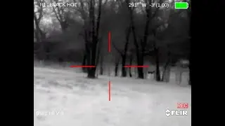 Taking out coyote with 300 Blackout, FLIR PTS 233 Thermal and Siencerco Hybrid 46 suppressor Part2