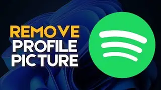 How to Remove Profile Picture on Spotify